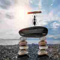 精​准﻿SSL证‍书‍方‍案‍